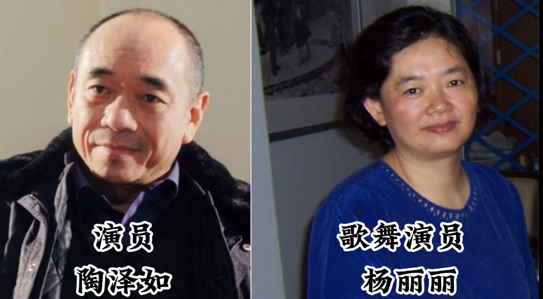 回顾低调的演员夫妻:陶泽如与妻子是校友,佟瑞欣与夏菁幸福甜蜜