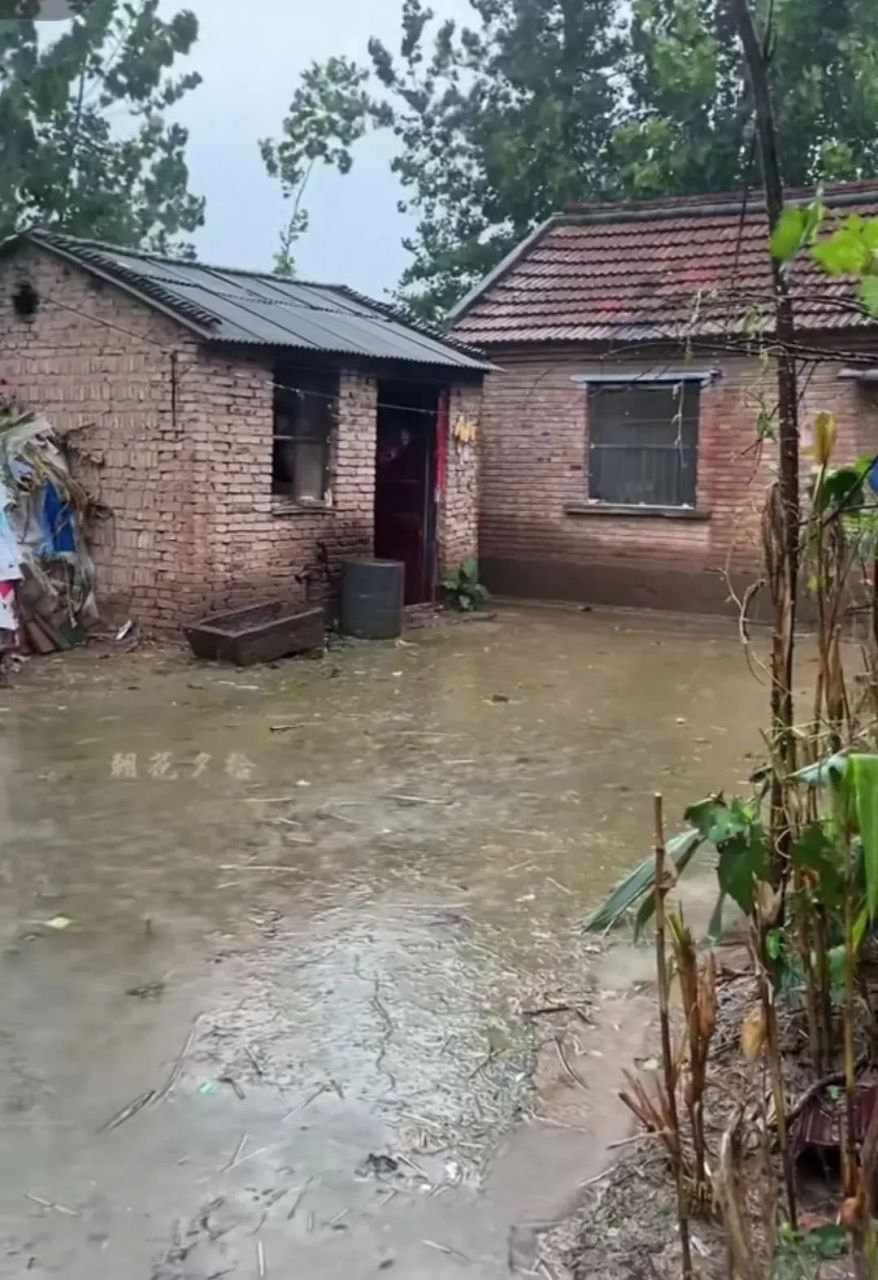 怀念童年时下雨天的情景,农村土房漏雨让人担忧,但雨后清凉和农家的