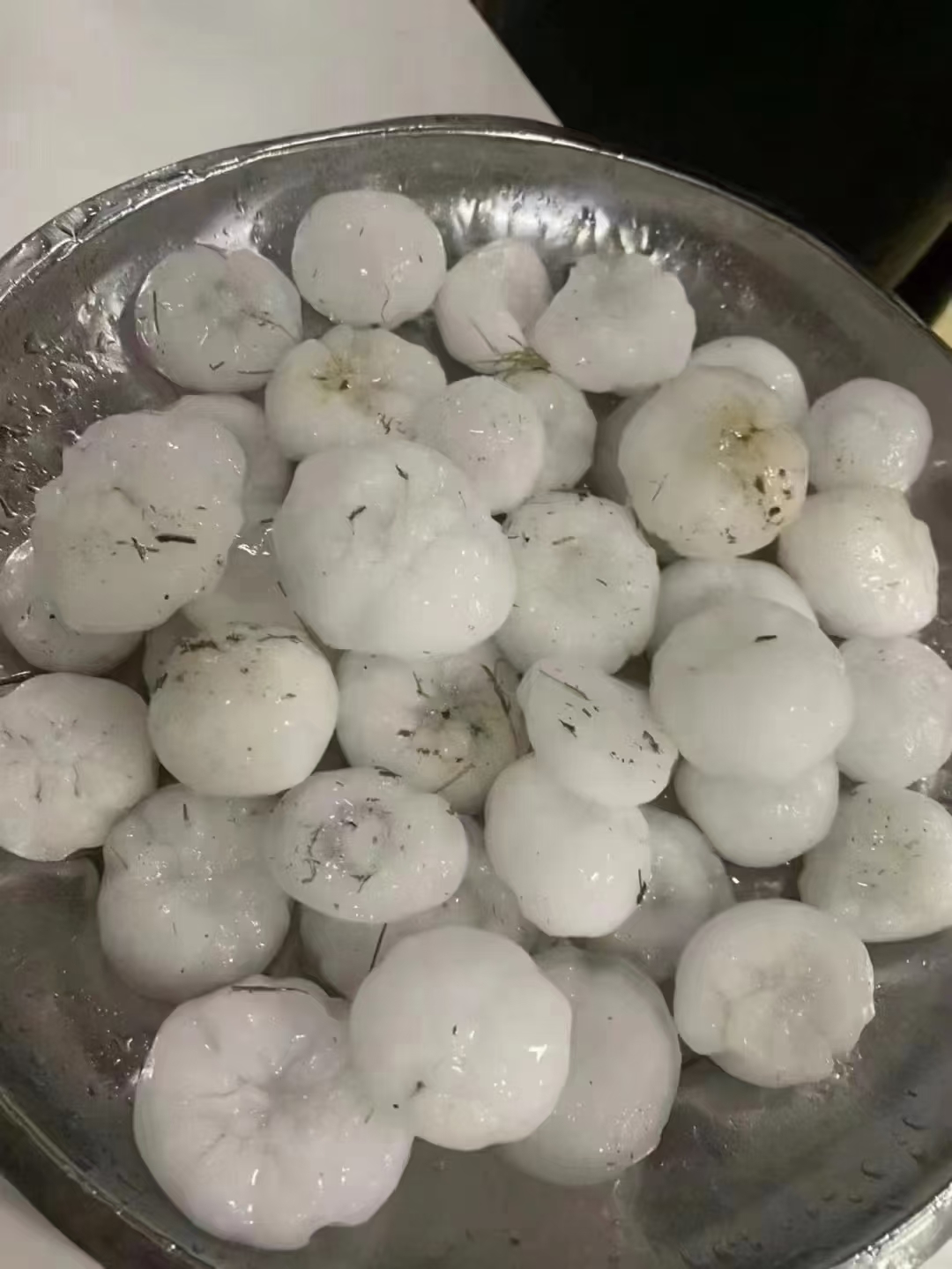 一觉醒来感觉全世界都变了这么大的冰雹你们没见过吧就连汽车的