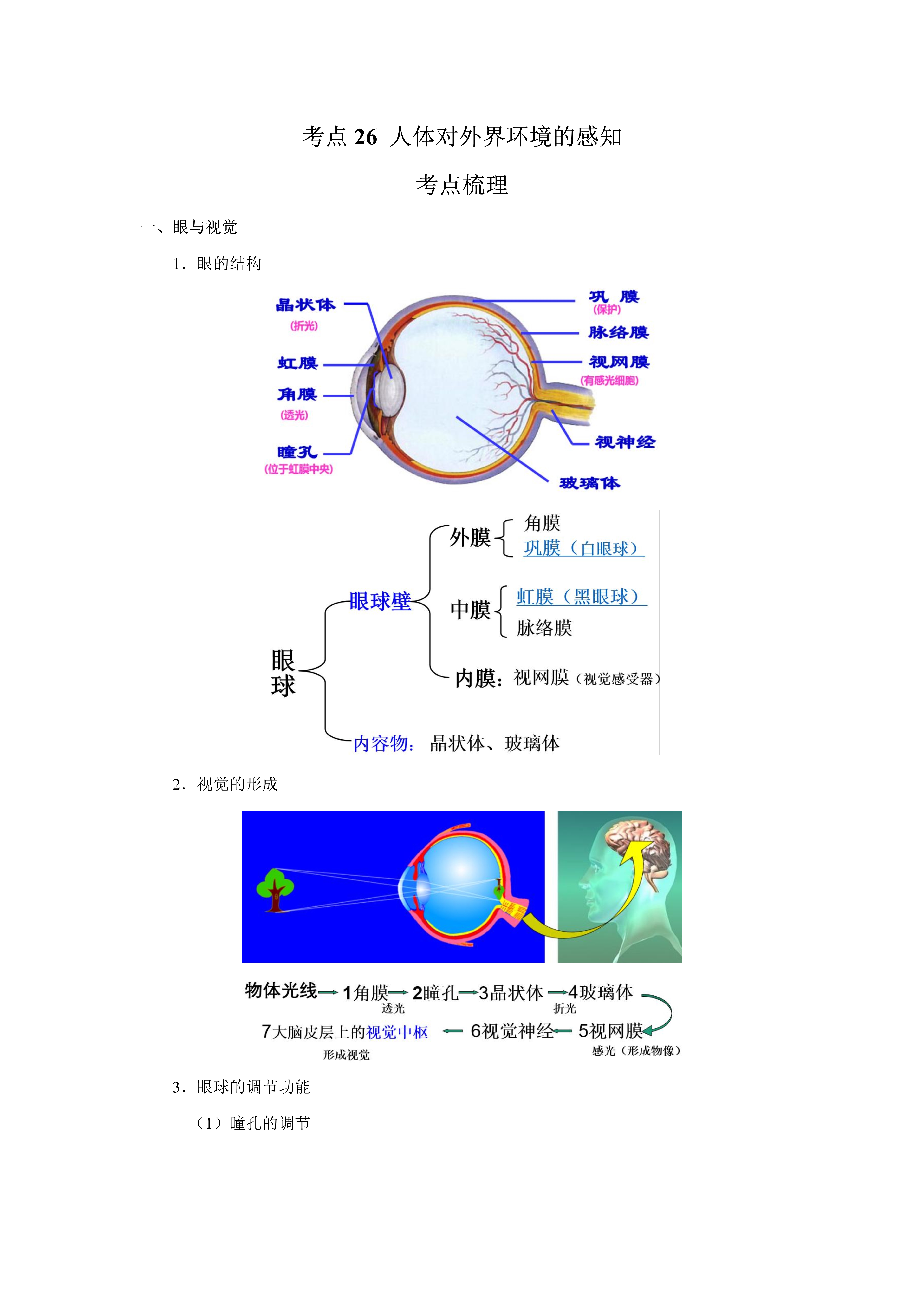教育优质作者发文挑战赛# 眼球的调节功能