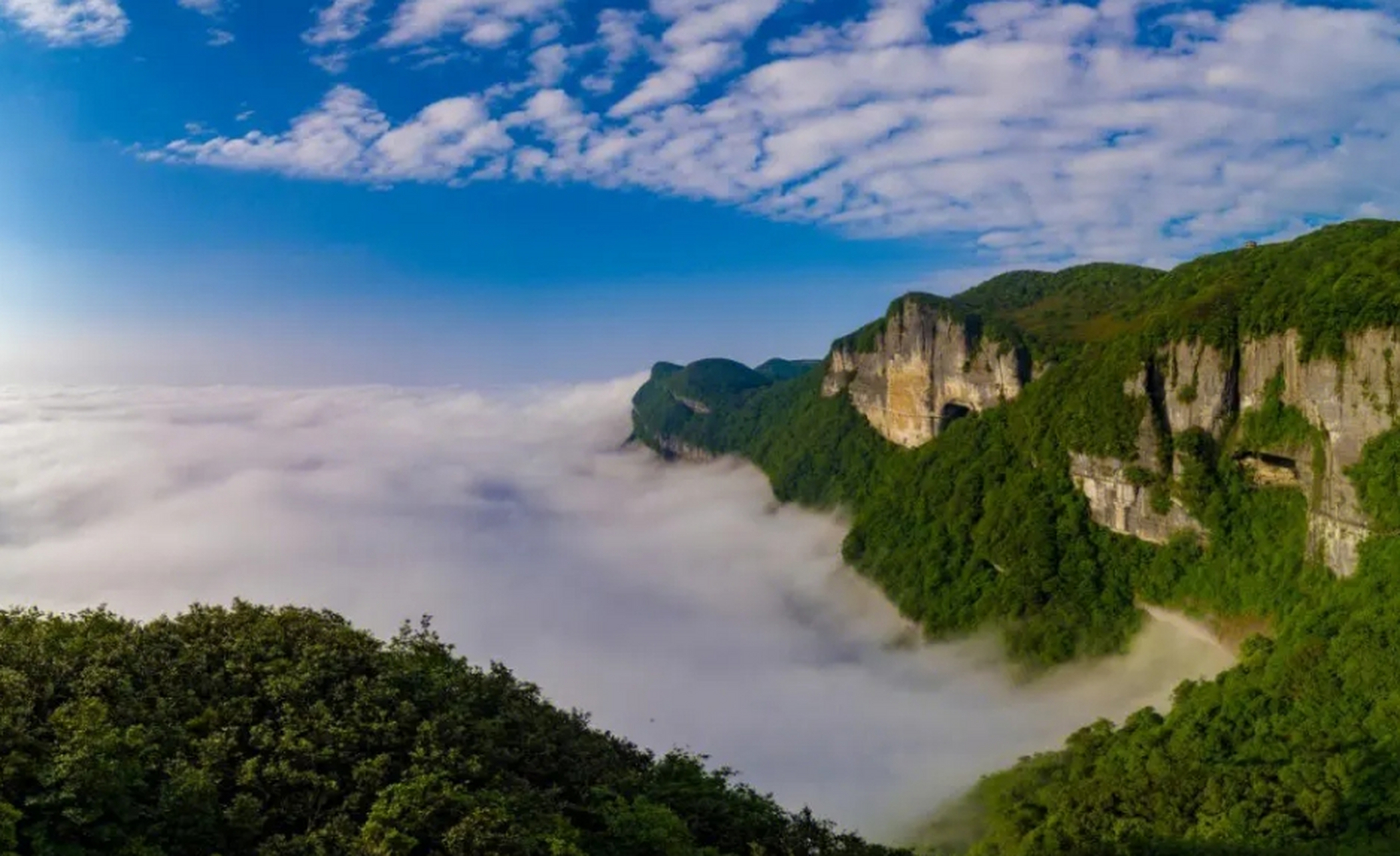 金佛山春天的美景图片