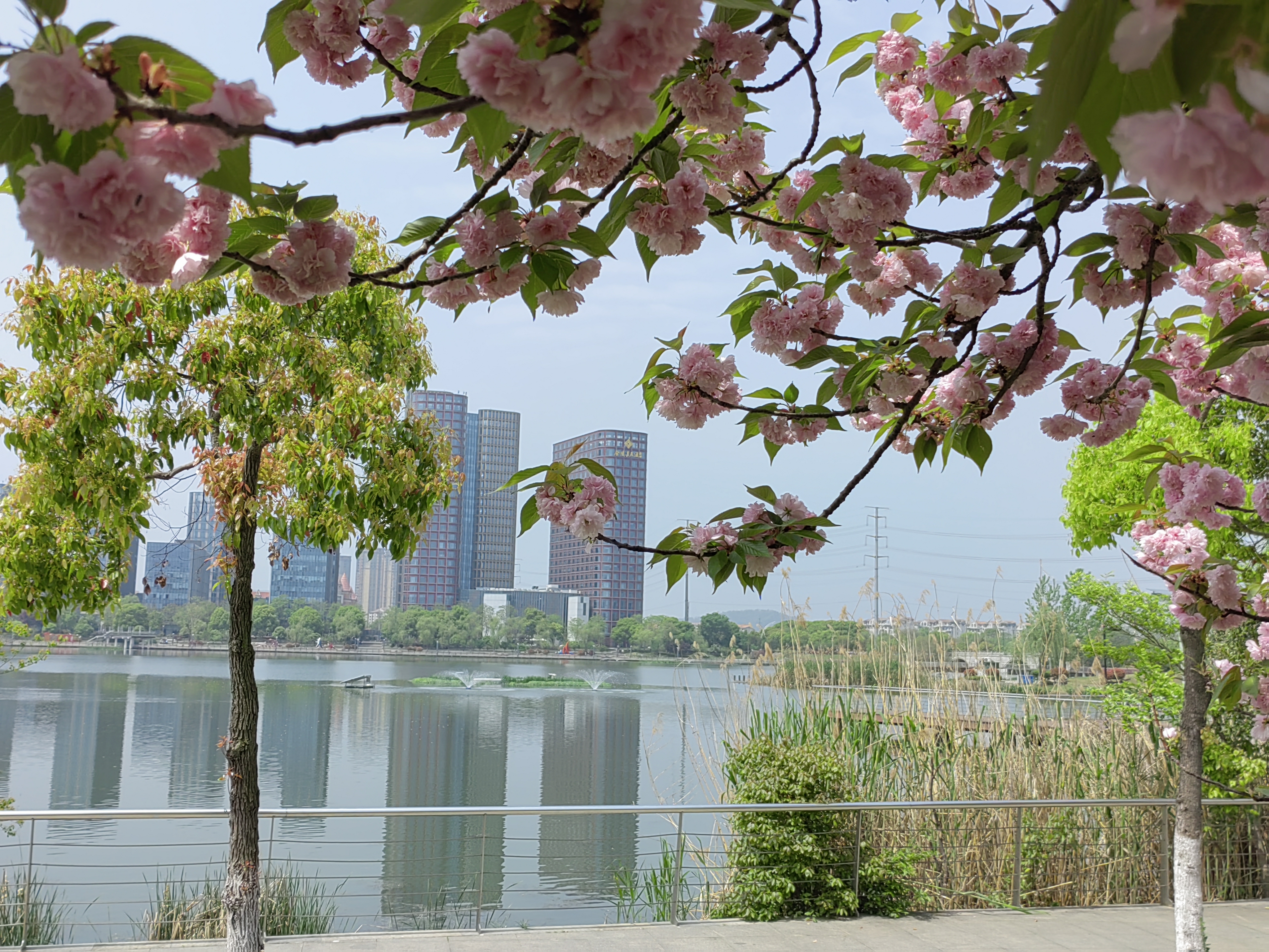 位于南京江宁开发区南部,北起牛首山河,南至东南大学九龙湖校区,东临