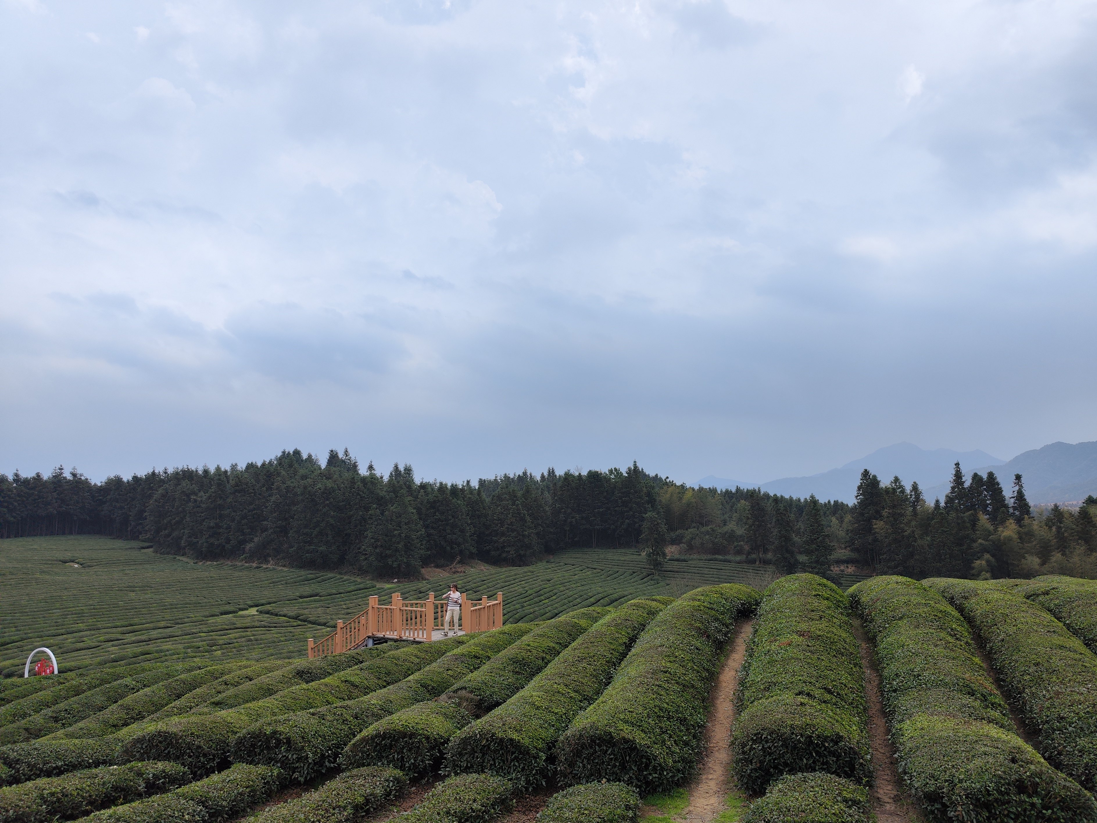 浮梁寒溪村,原来景德镇不仅是瓷都,还是茶之乡