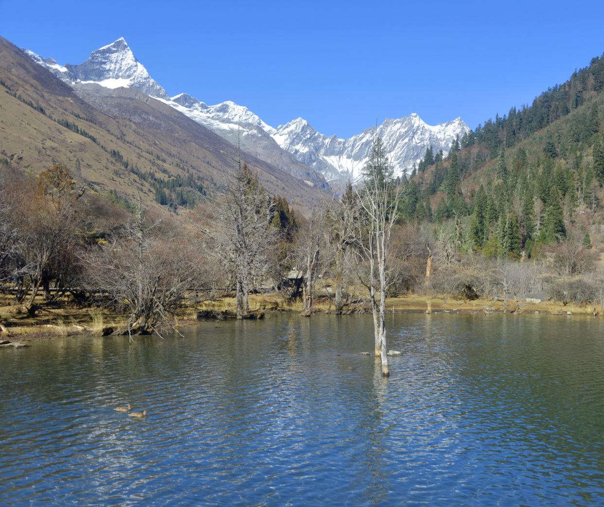 四姑娘山双桥沟景区旅游攻略 最后附双桥沟官方导览图