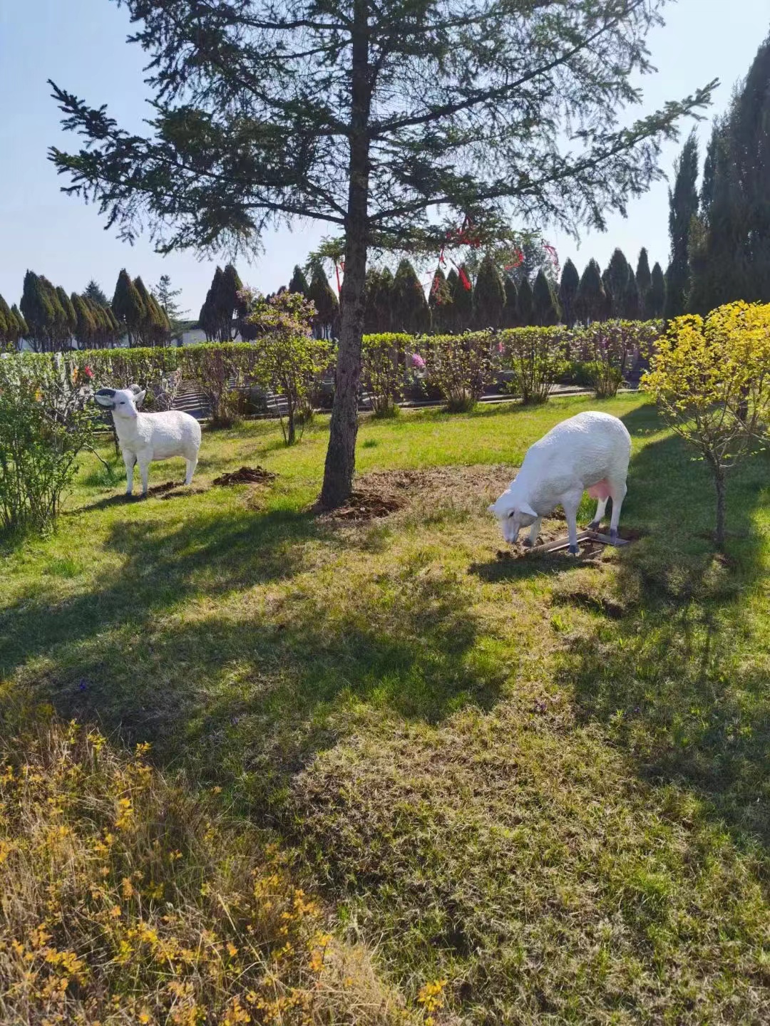 哈尔滨和平公墓:掌握祭祀礼仪的必看知识