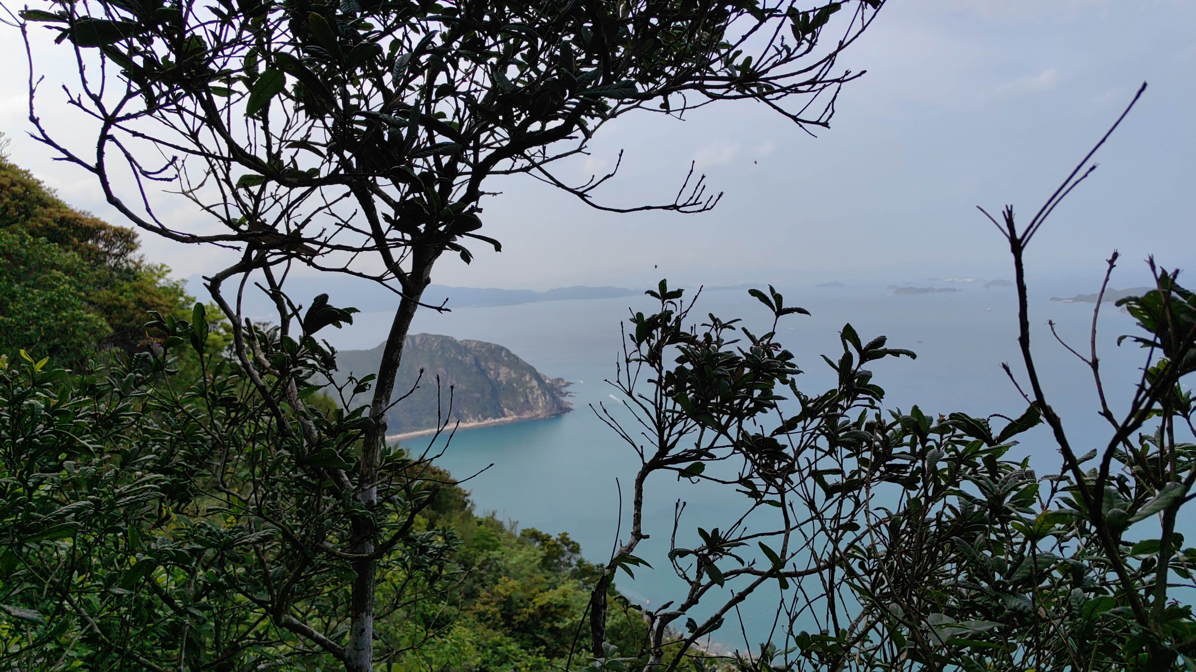 深圳大雁顶与望郎归探险攻略,探寻大自然的奥秘,感受春天的美好