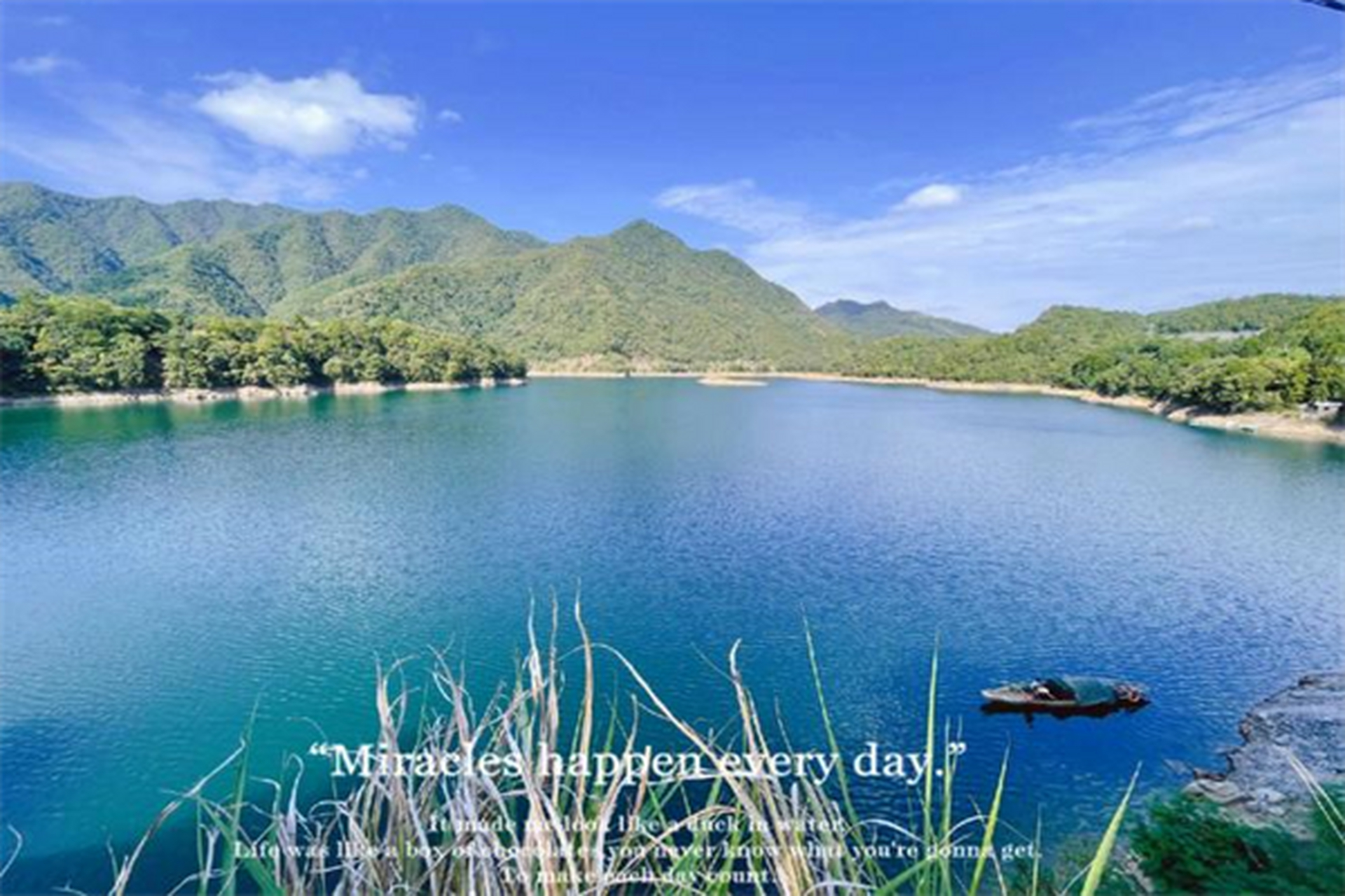 沧州旅游攻略推荐南大港湿地自然保护区,吴桥杂技大世界,铁佛寺和河间