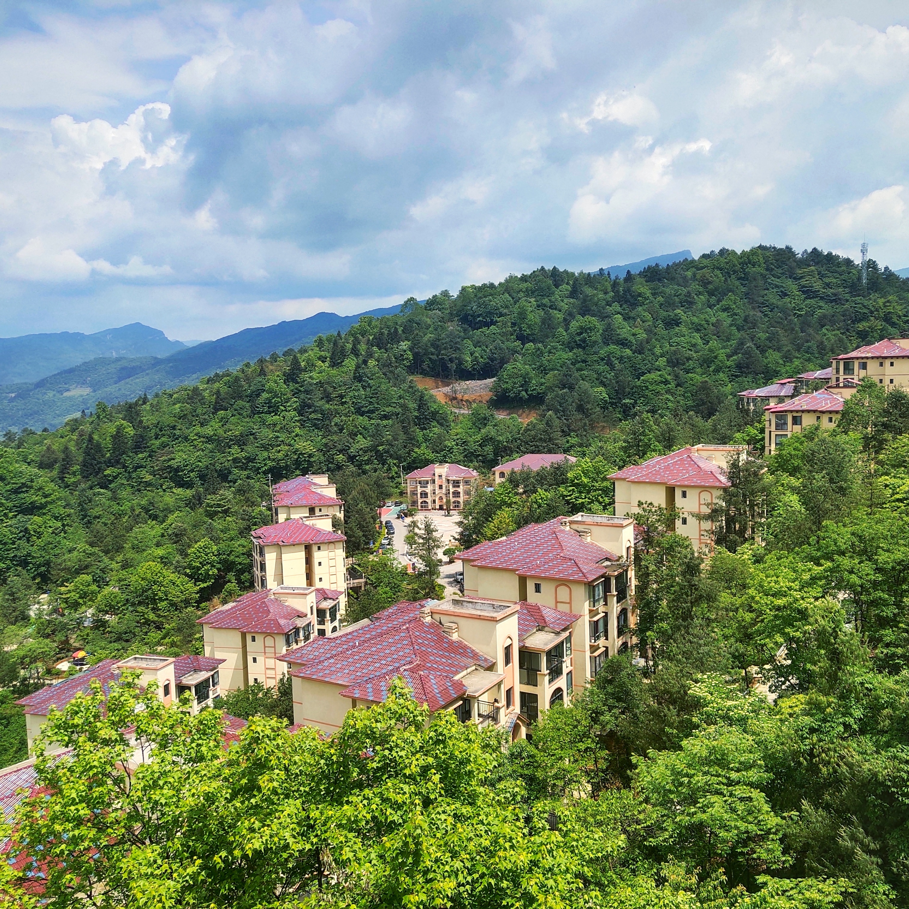 南川避暑房长青森林公园,黄金海拔1300米,景区里面安个家