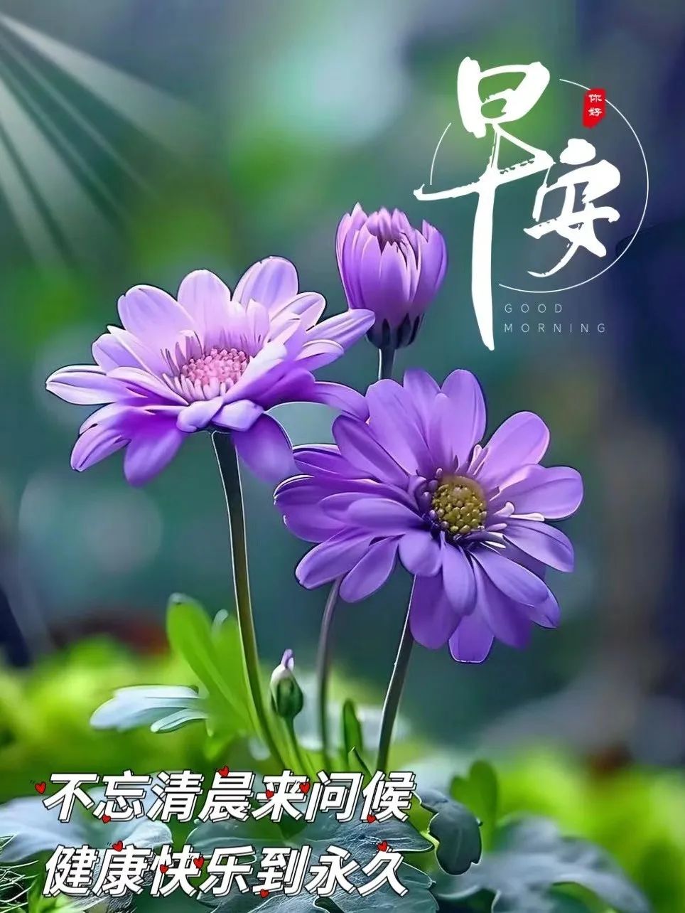 早安阳光图片花朵图片