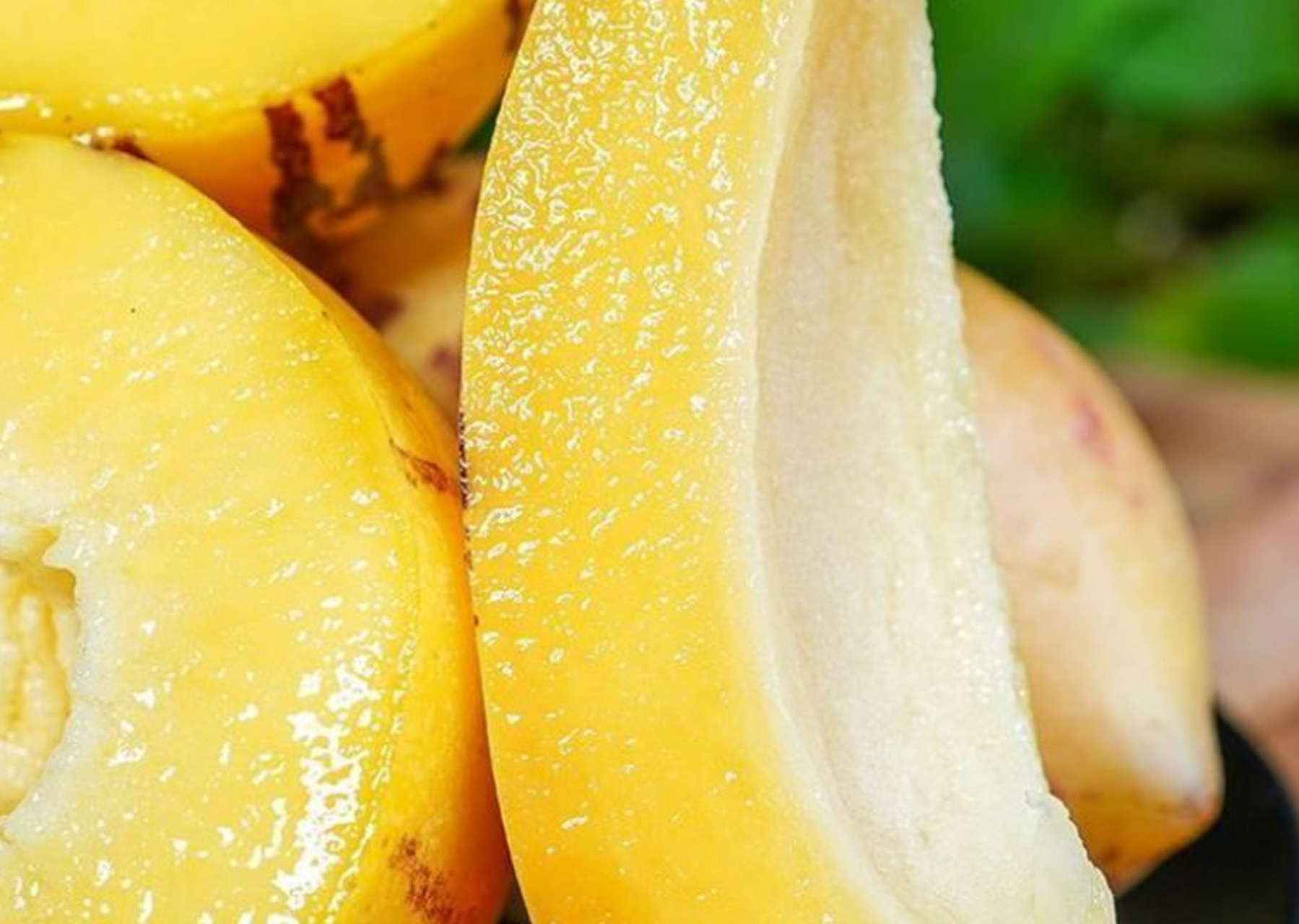 甘肃民勤出产的人参果,果实肉黄饱满,树上熟,新鲜当季,口感鲜美.