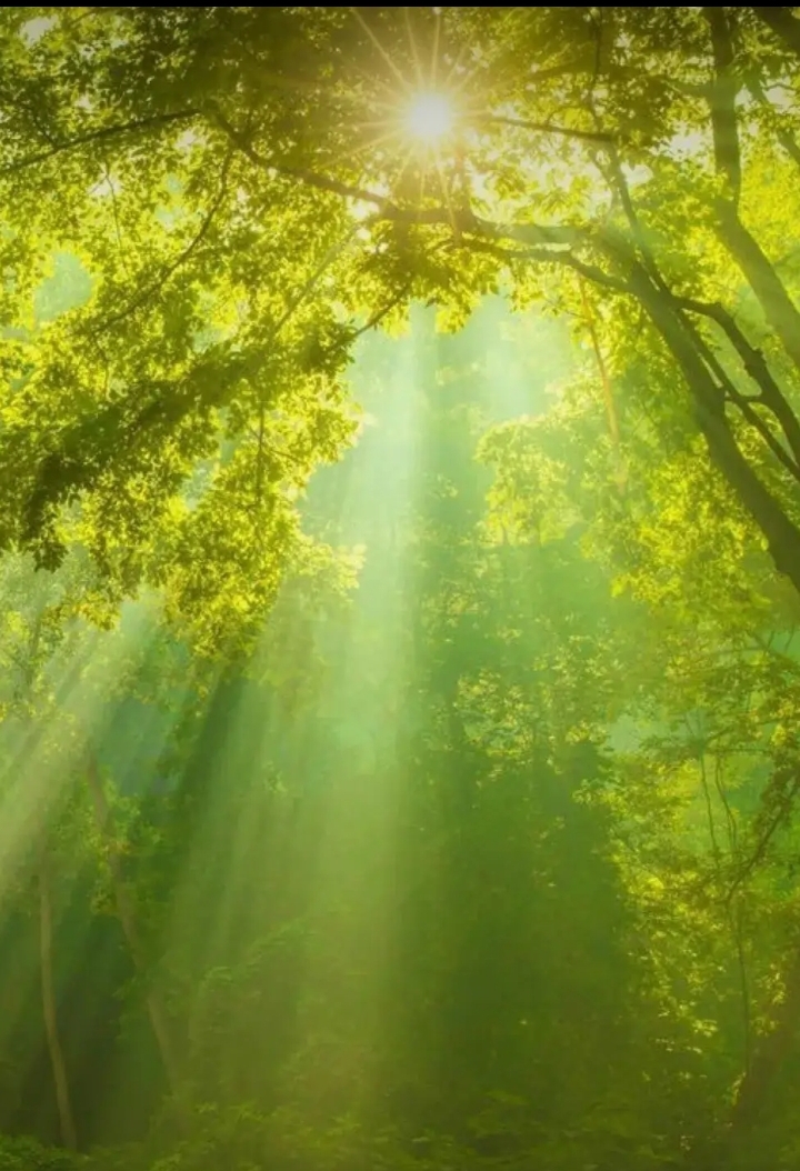 分享:迷人的光线