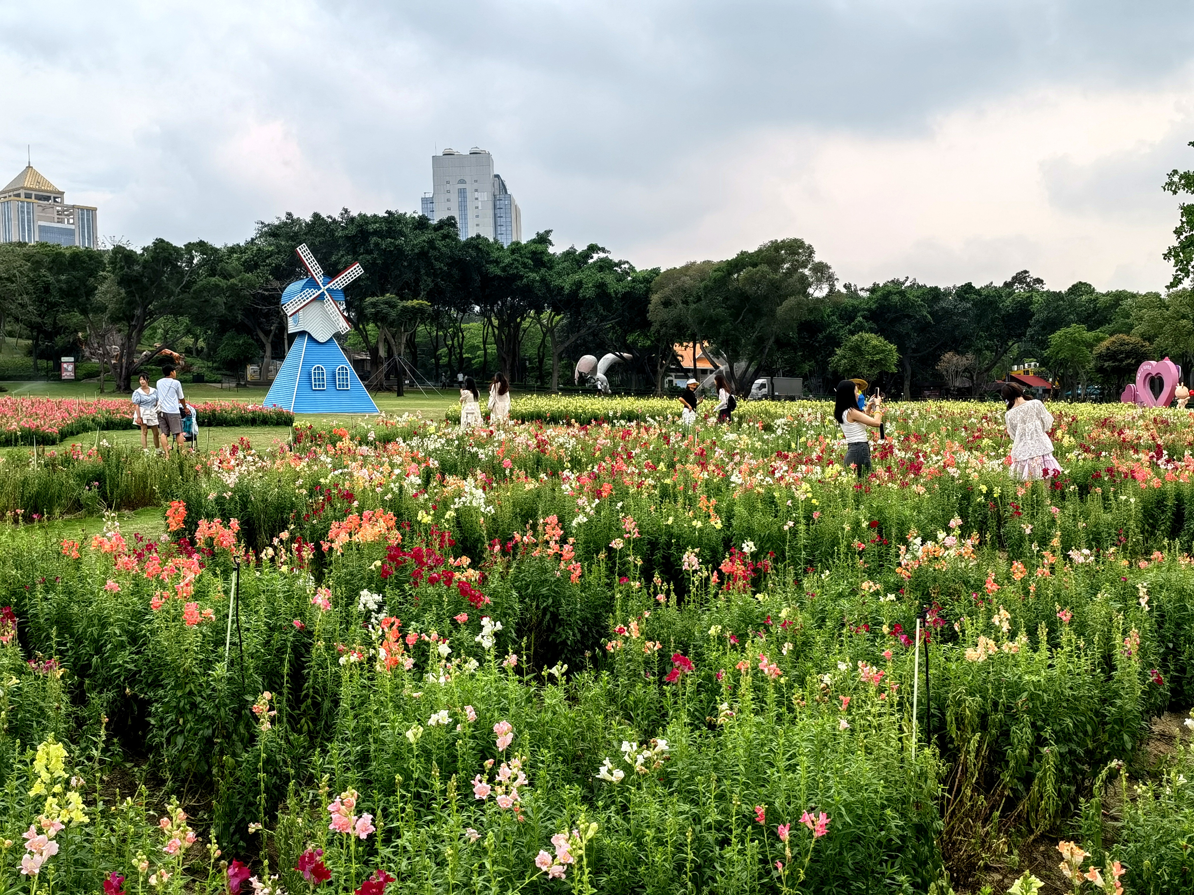 珠海滨海公园图片