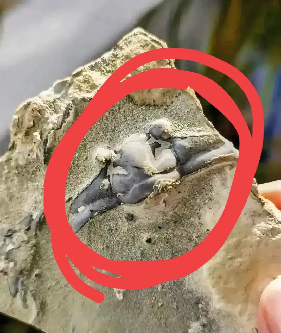 在这一面石块的中间位置,竟然有海力布这块石头大珠山最奇特的石头