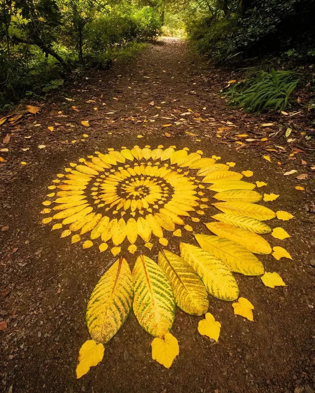 收集相似形状和颜色的石头与树叶,将它们变成美丽的图案,来自乔恩·福