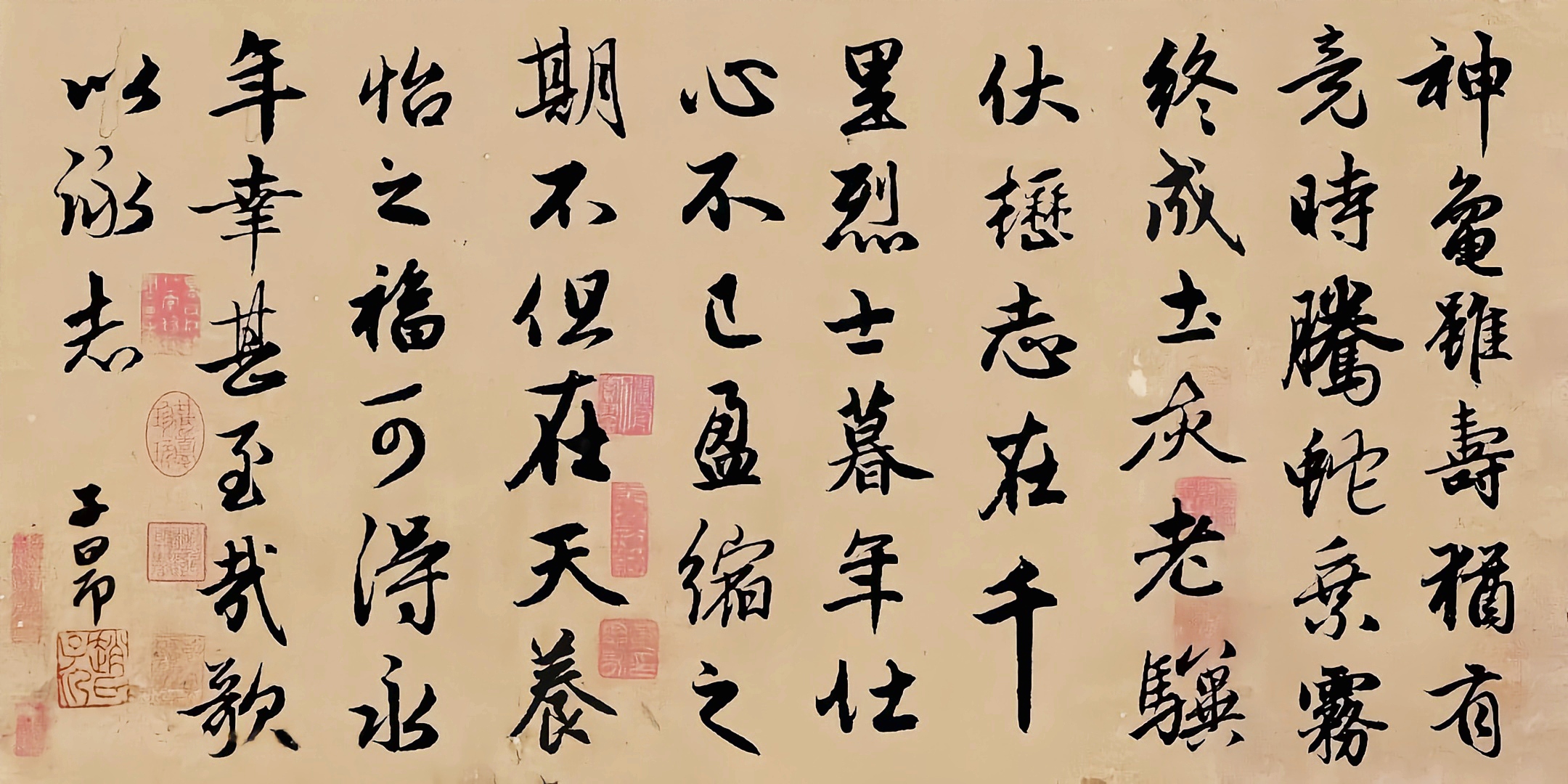 赵孟頫行书《龟虽寿》集字版