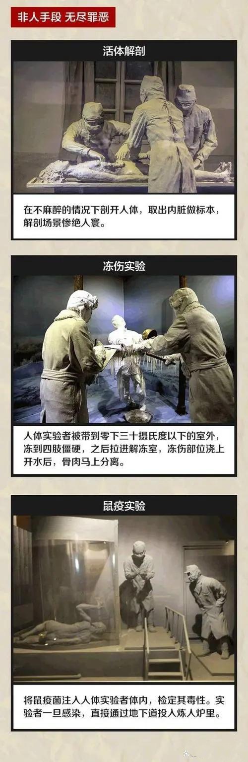 黑太阳731气压实验图片