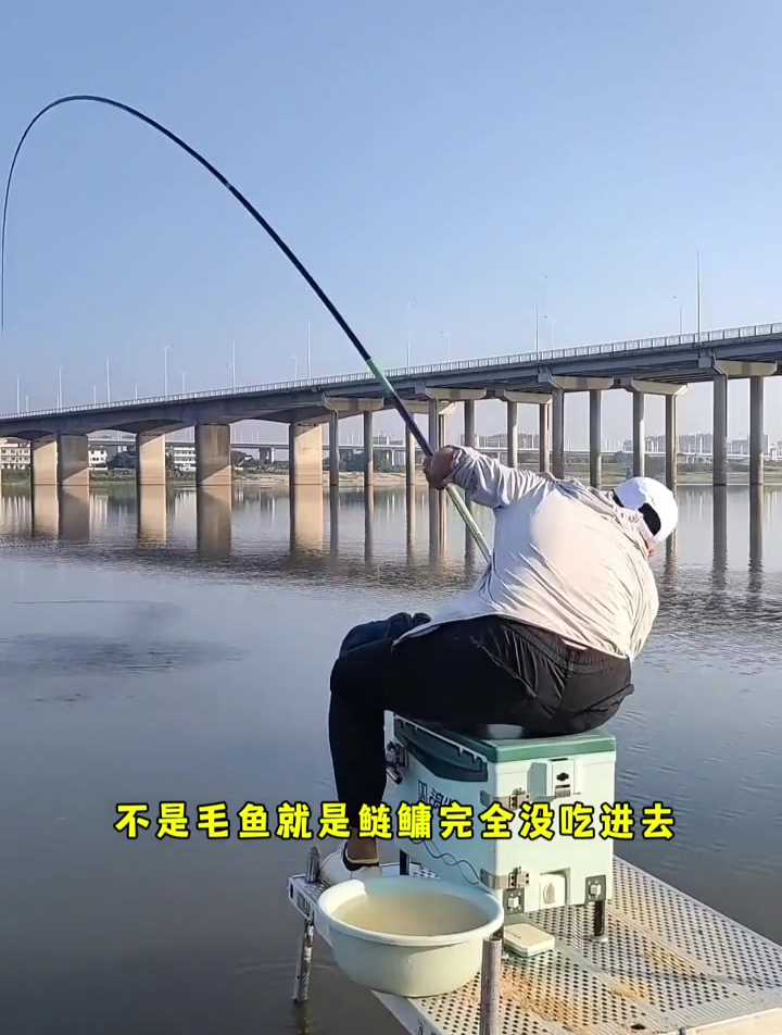 浮钓鲢鳙经常提竿就跑鱼?下钩加一个助吸棉,鲢鳙轻轻一吸就入口