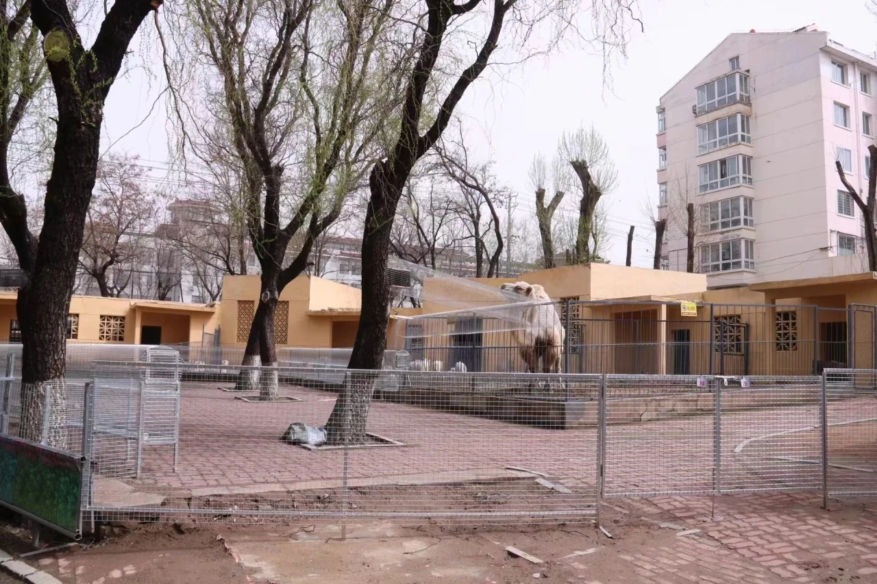 好消息!锦州动物园园区升级,萌宠动物馆来了