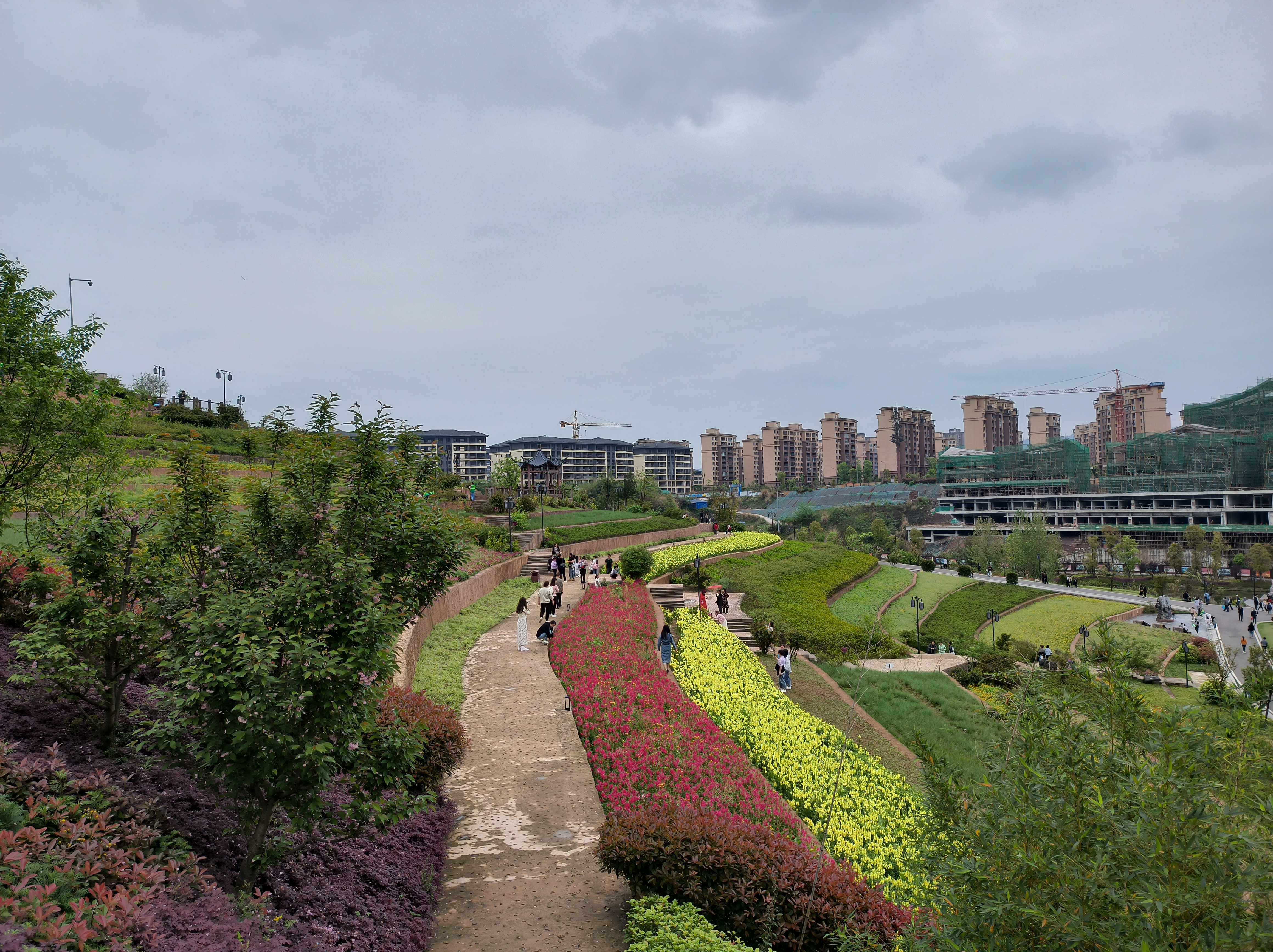 暮春谷雨# 重庆璧山的古道湾公园,七彩梯田花海,百竹园,各种各样祷è