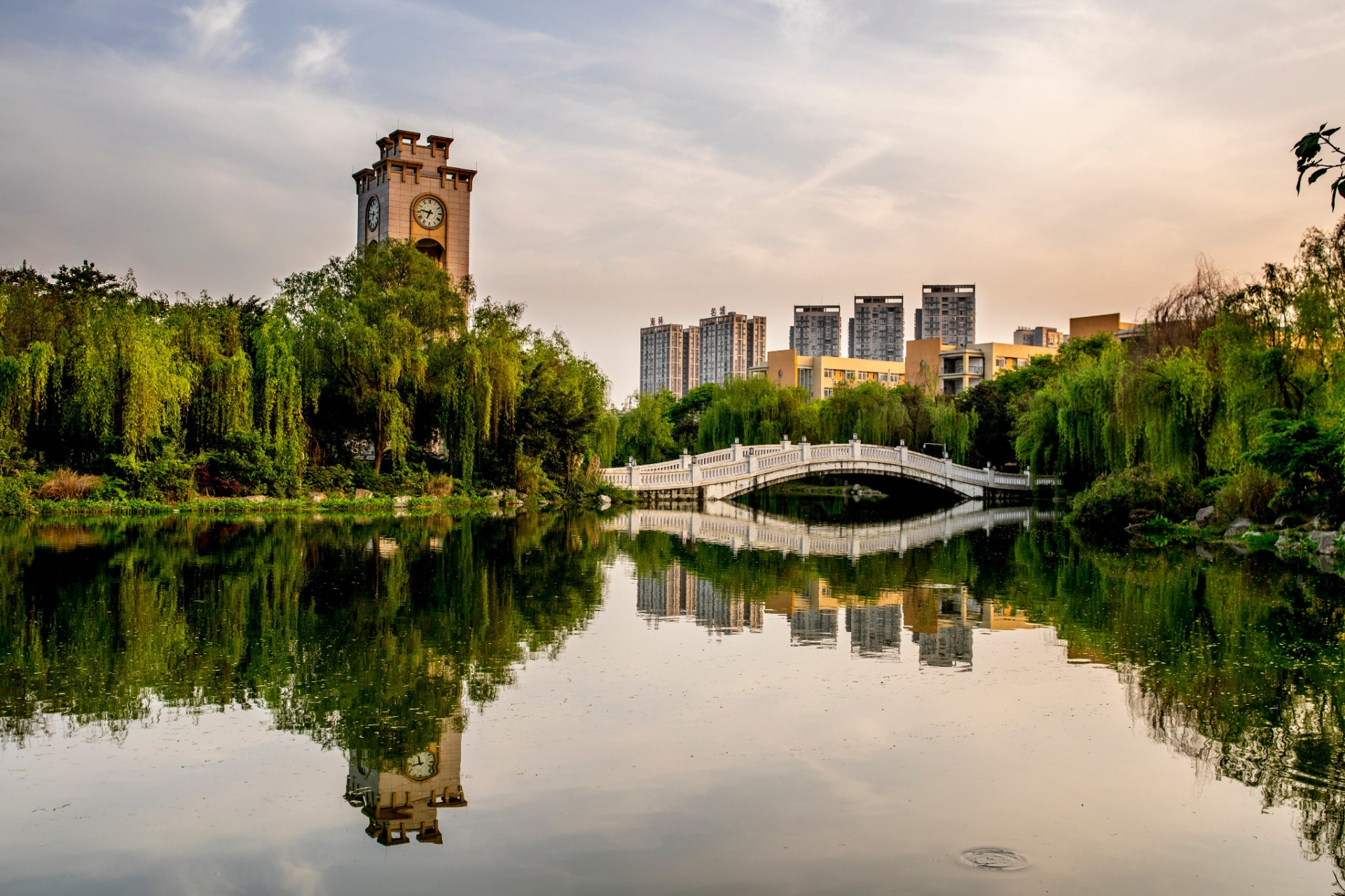 南方省份的分数普遍较高,北方相对较低.但别担心!