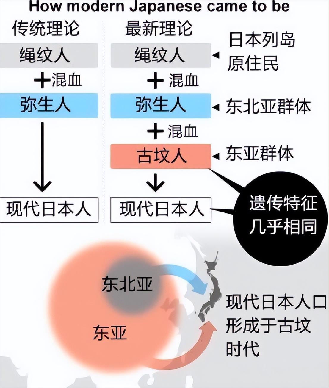 证实了日本人并非是徐福的后裔,他们还在基因序列里找到了其它的奥秘