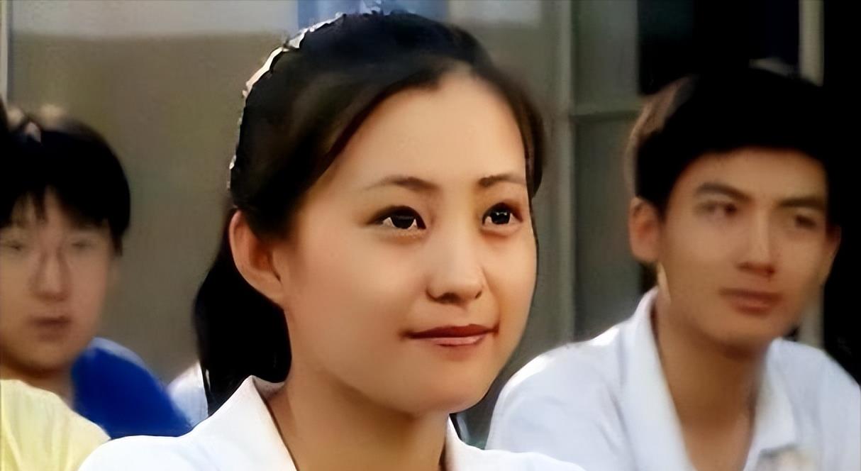 郝蕾和刘烨离婚后自己一人养育双胞胎儿子如今怎么样了