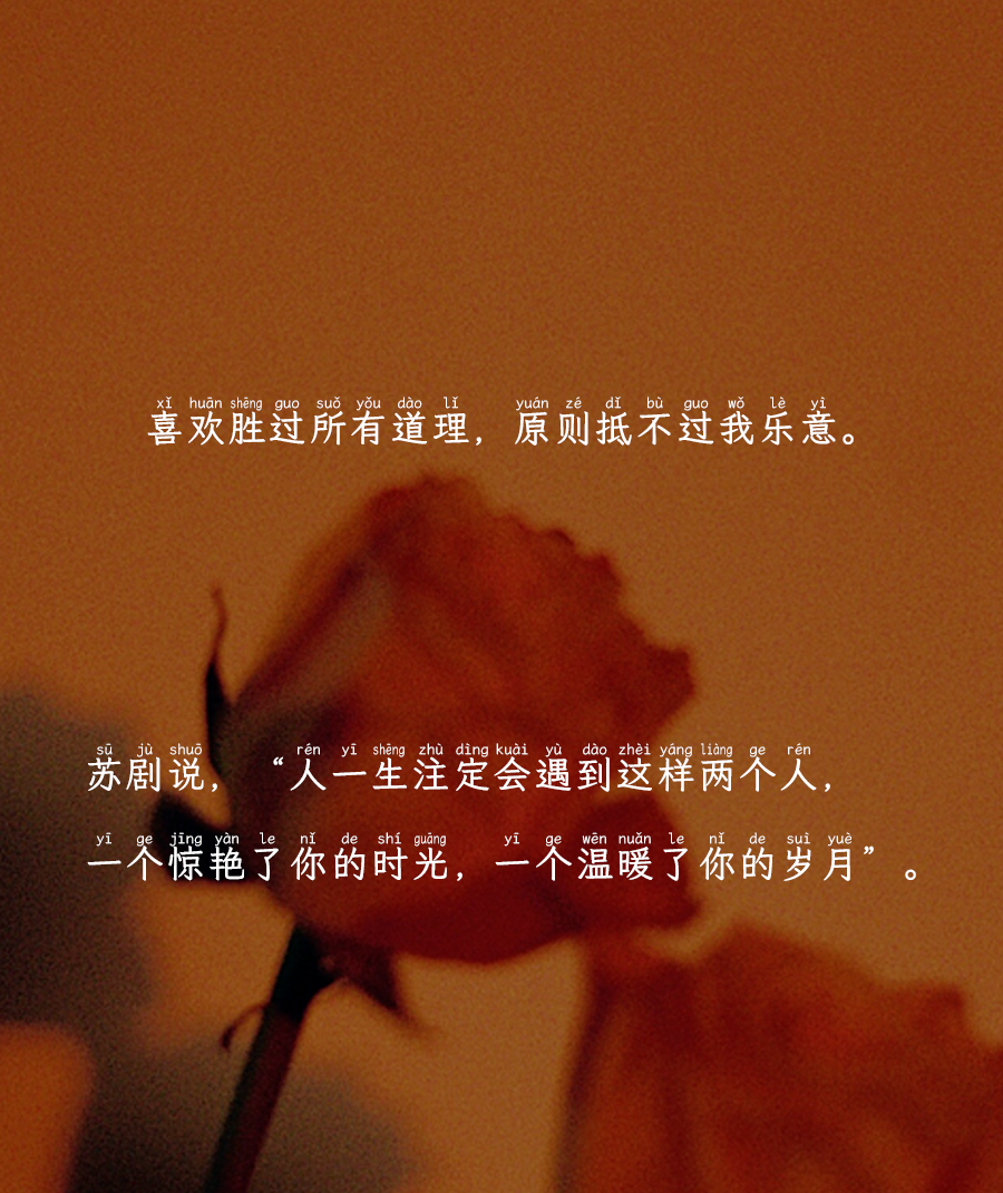 值得置顶的微信朋友圈文案玫瑰起笔晕开我们琳琅的诗句