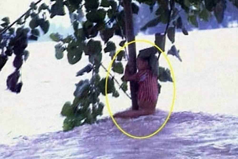 1998年洪水中女童抱树数小时获救多年后穿警服重见恩人