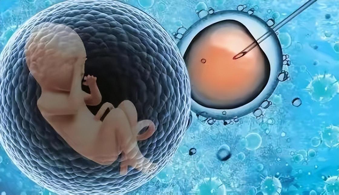 回顾夫妻车祸去世两人孩子却在4年后出生双方父母对簿公堂