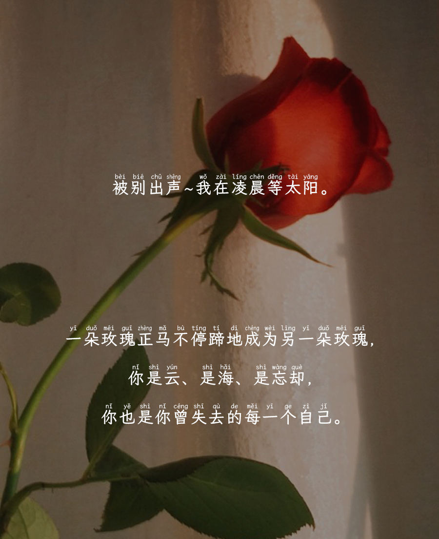 值得置顶的微信朋友圈文案玫瑰起笔晕开我们琳琅的诗句