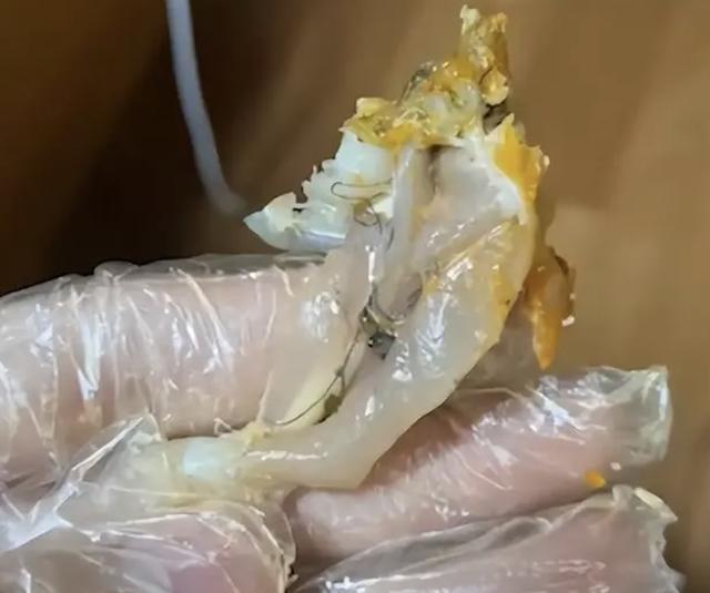 回顾:牛蛙有多"害"人?现在它身上严重的问题,已不是寄生虫!