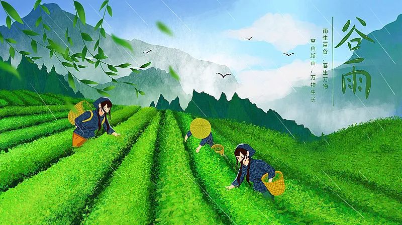二十四节气之谷雨