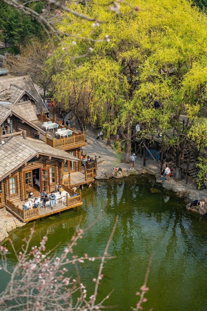 又是春满园,济南这座小镇玩出新"花"样