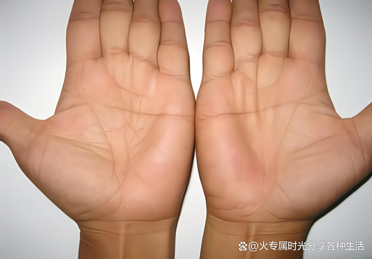 天选预言家感情线