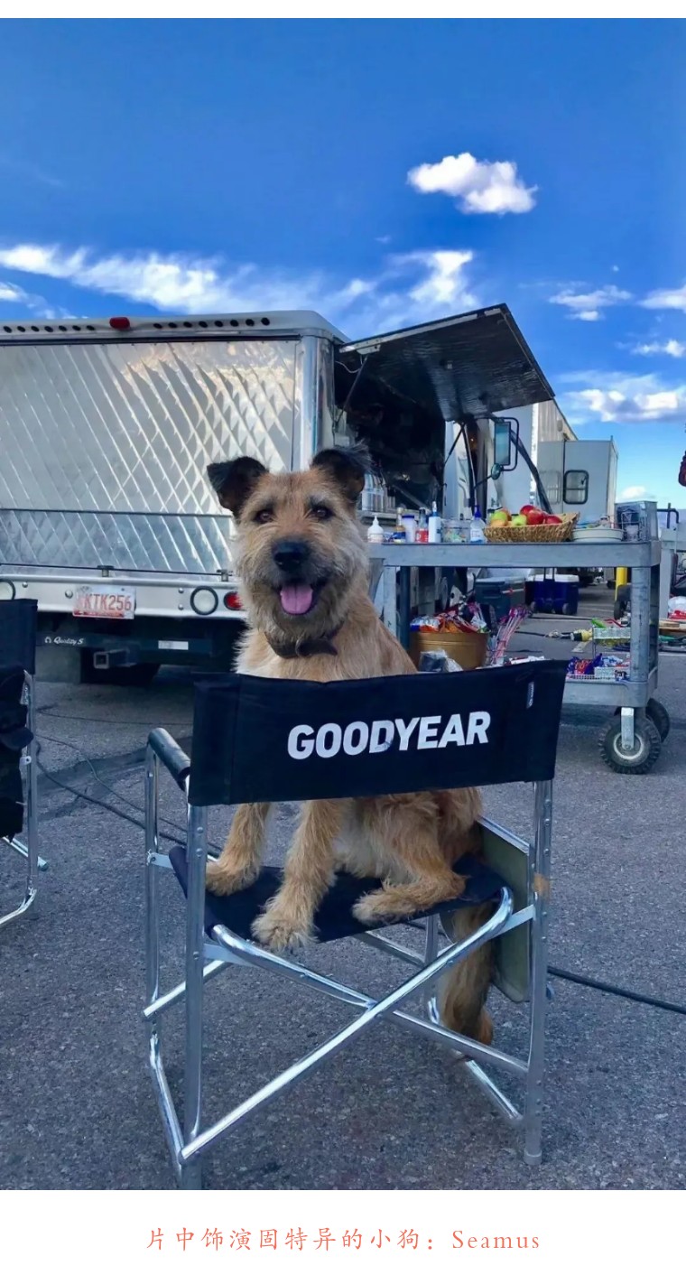 芬奇机器人死亡与爱