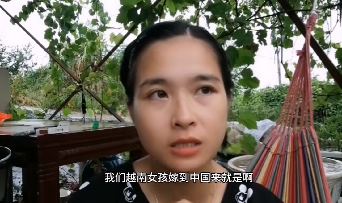 越南网民评论中国血统图片