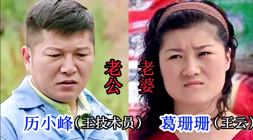 历小峰和葛珊珊还没有成名前,两人也是舞台上的搭档,行话叫"一副架".