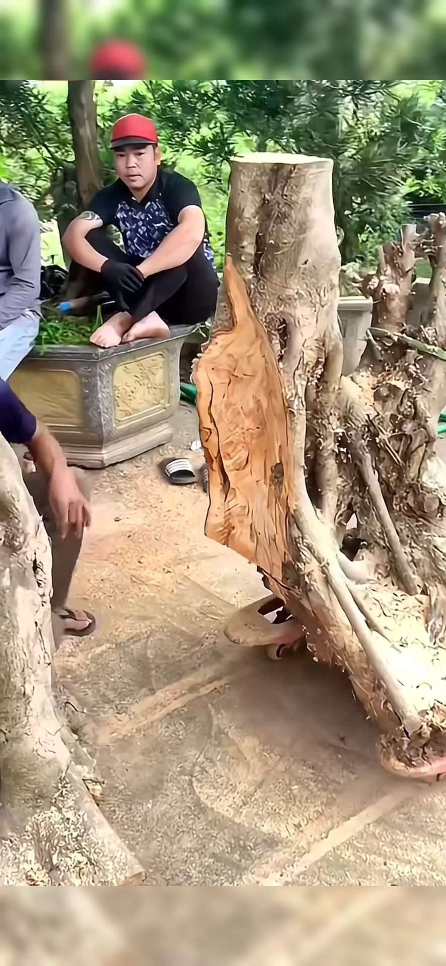 现实版的移花接木