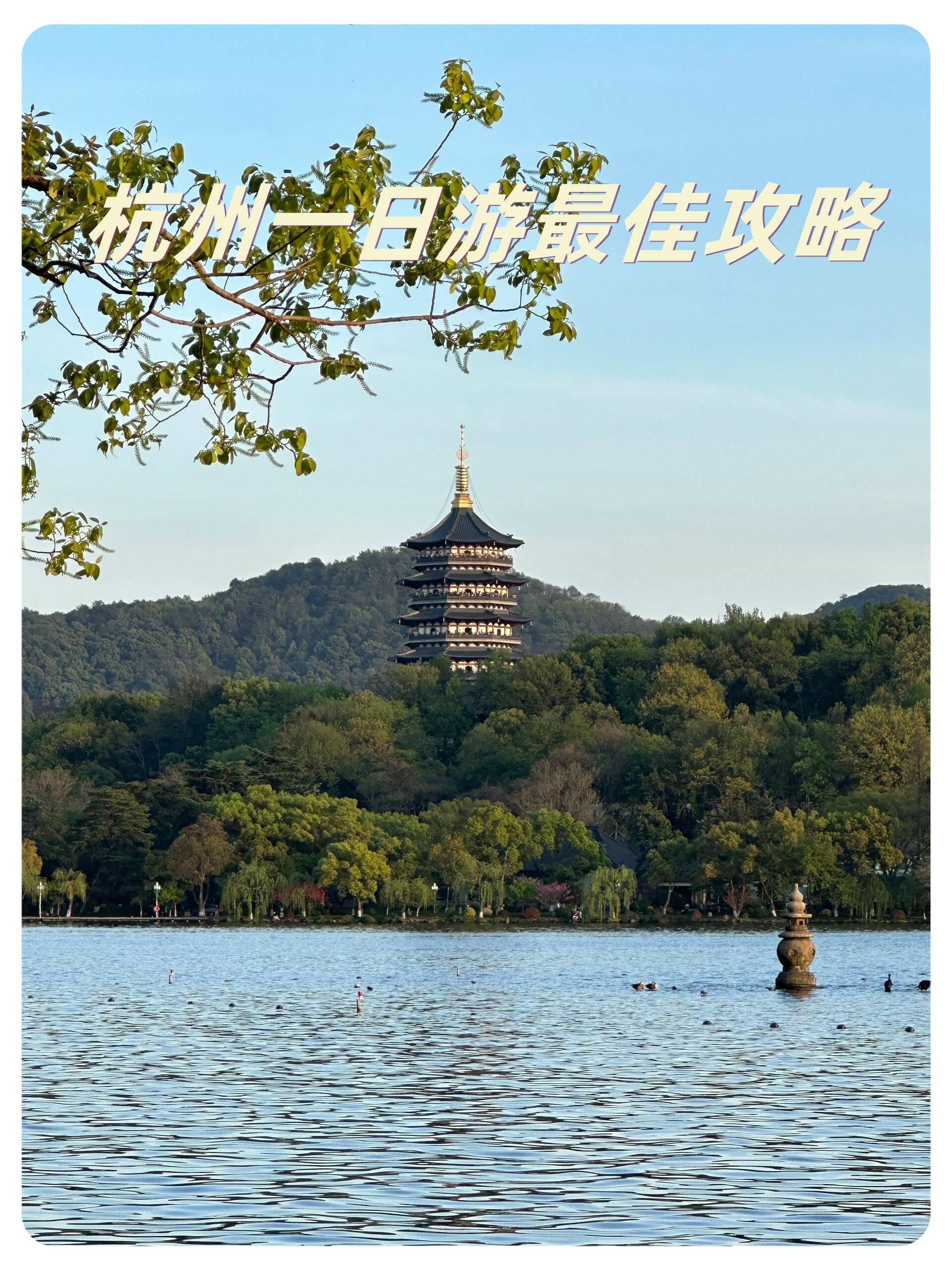 杭州一日游最佳(杭州一日游最佳攻略不去西湖)