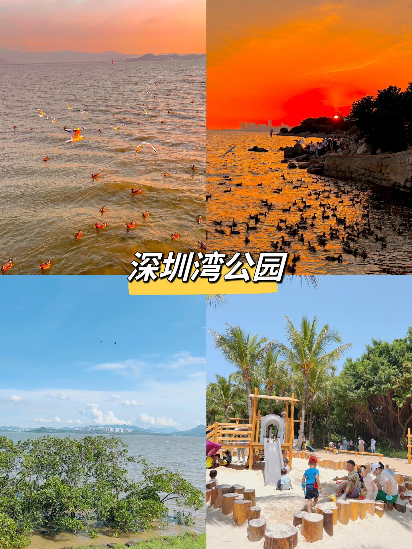 深圳旅游攻略景点推荐 11566.@中中爱旅行的动态