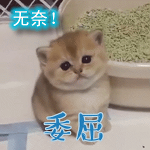 wifi死角太多,不知道在哪增设中继器?扩展屏实力,屏显更直观!