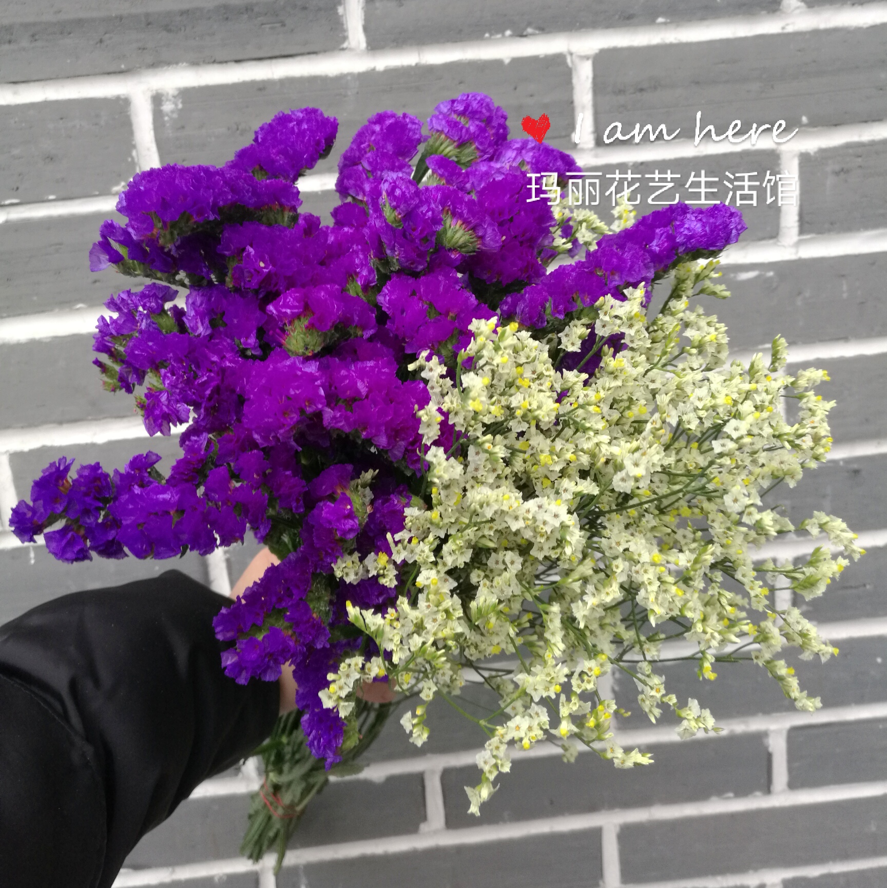 勿忘我花语及寓意,适合送什么人?