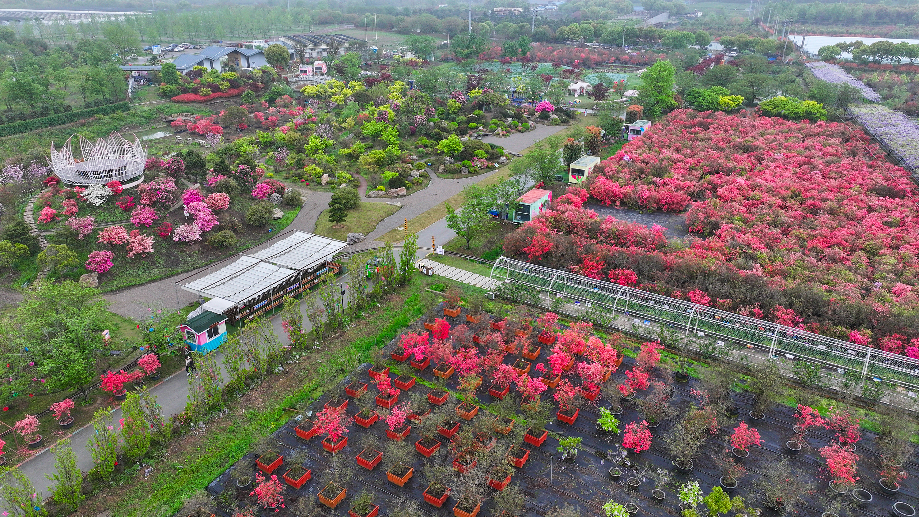 花星球景点介绍图片