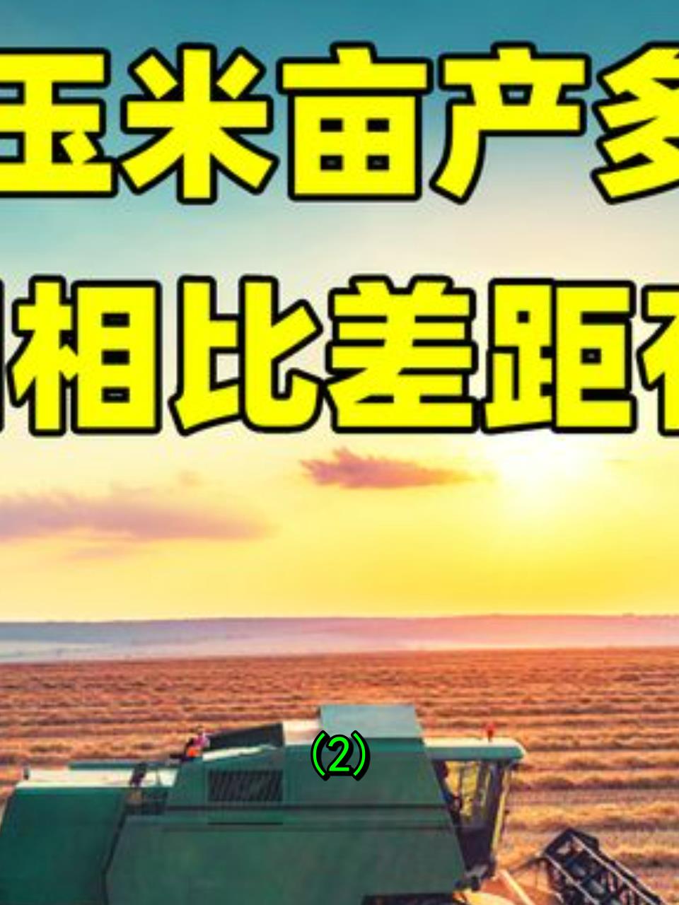 中美玉米产量对比:美国亩产1470斤,中国呢?