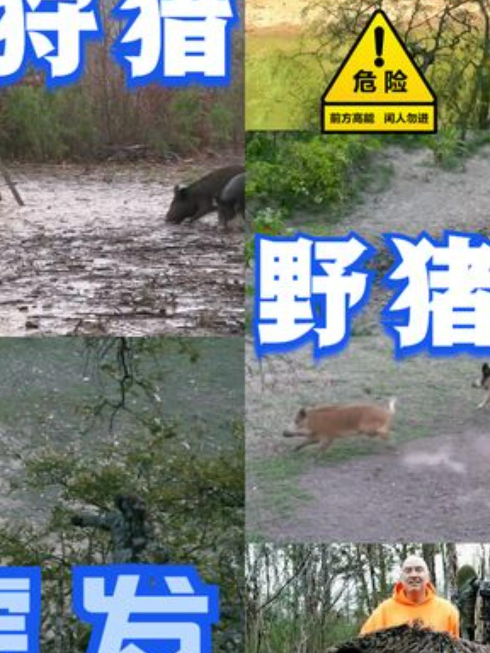 野猪逆袭!一箭双雕,猎人惊现天路奇遇2