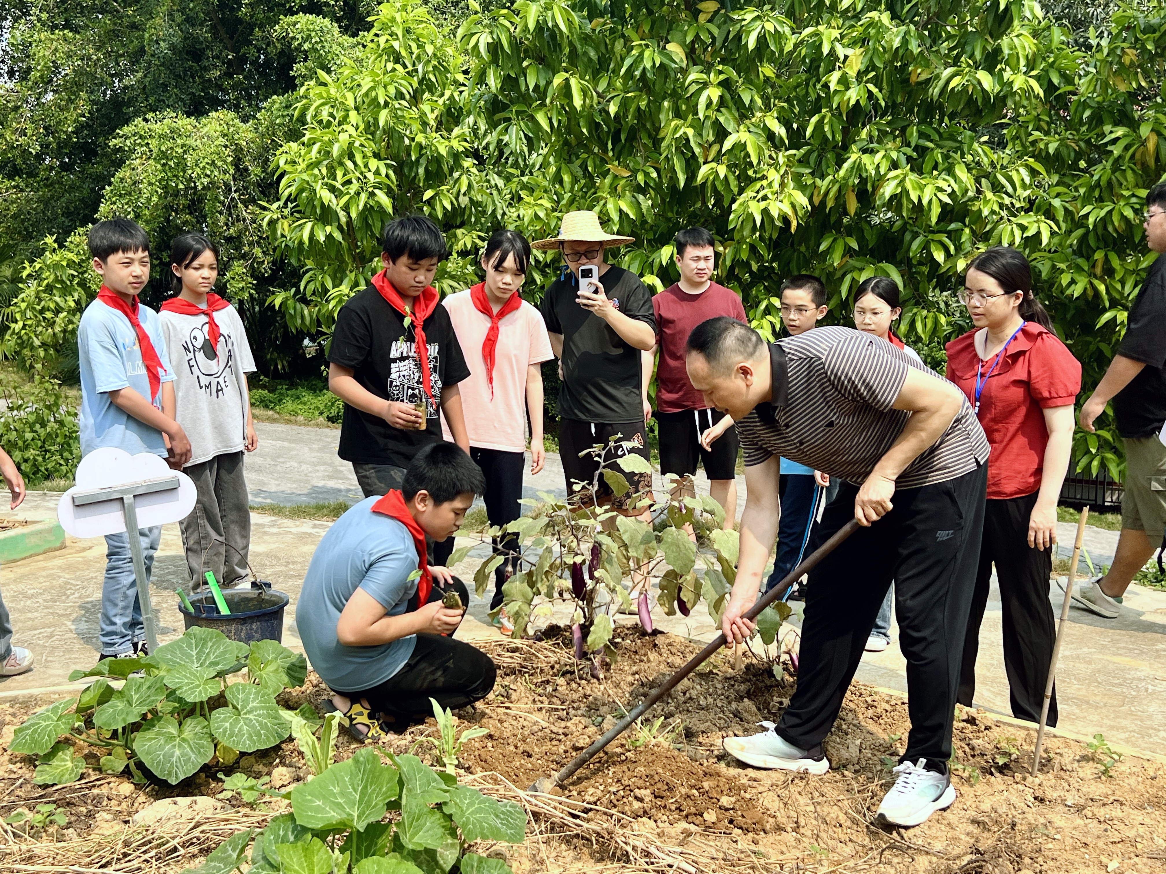 "植"此青绿,草药飘香——百色校企合作开展种植中草药实践活动