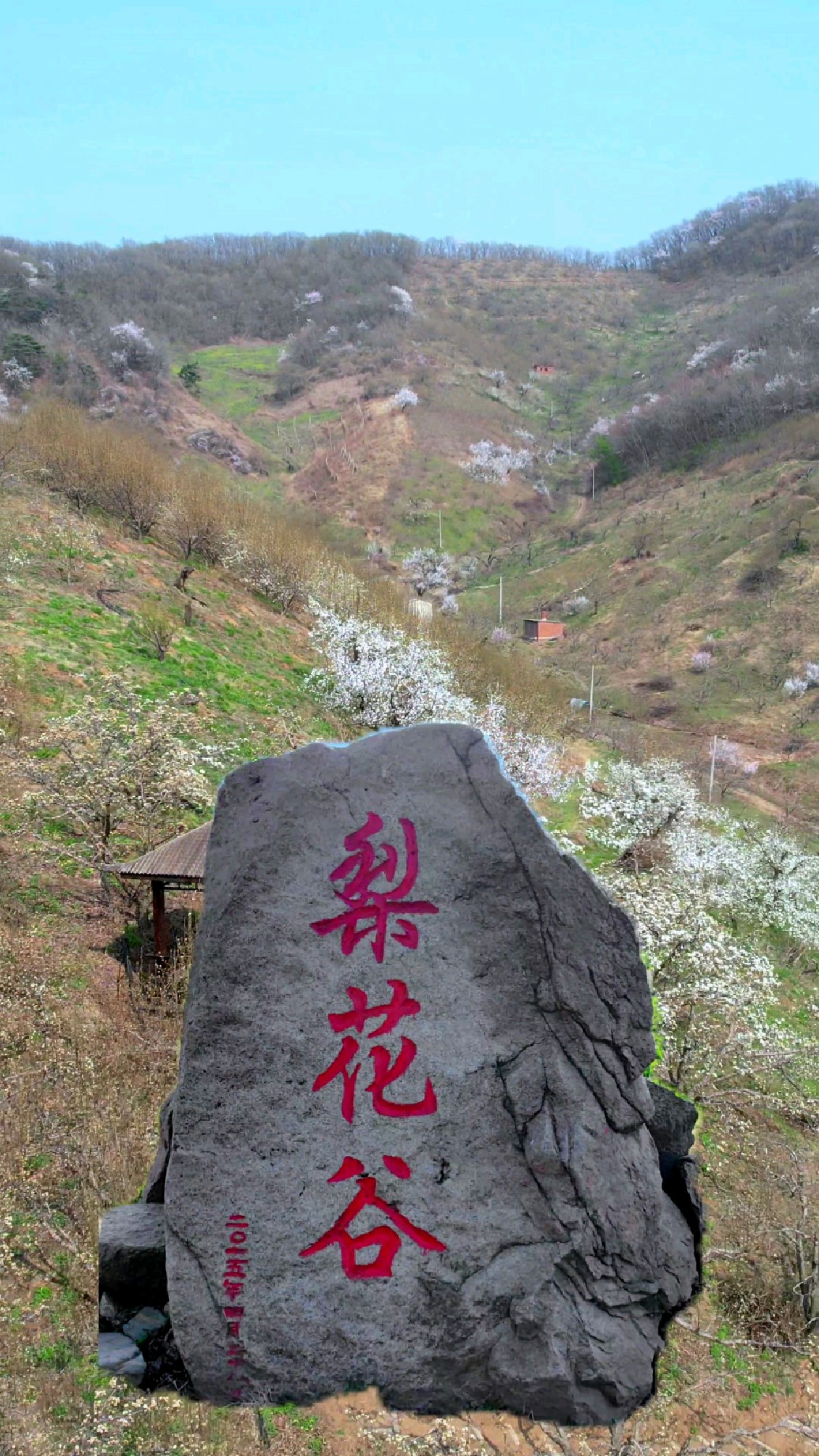 抚顺梨花谷,近日即将开园!-度小视