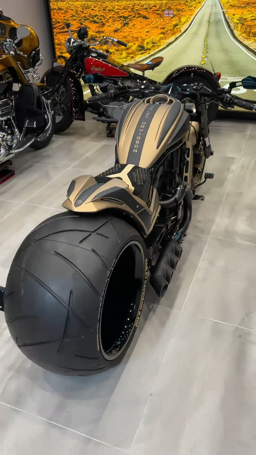 哈雷夜路德(帅不帅!