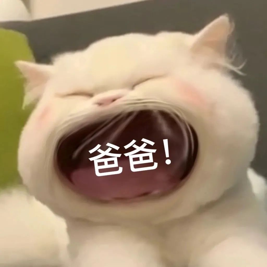 大嘴猫猫表情包,妈 没钱了#表情包