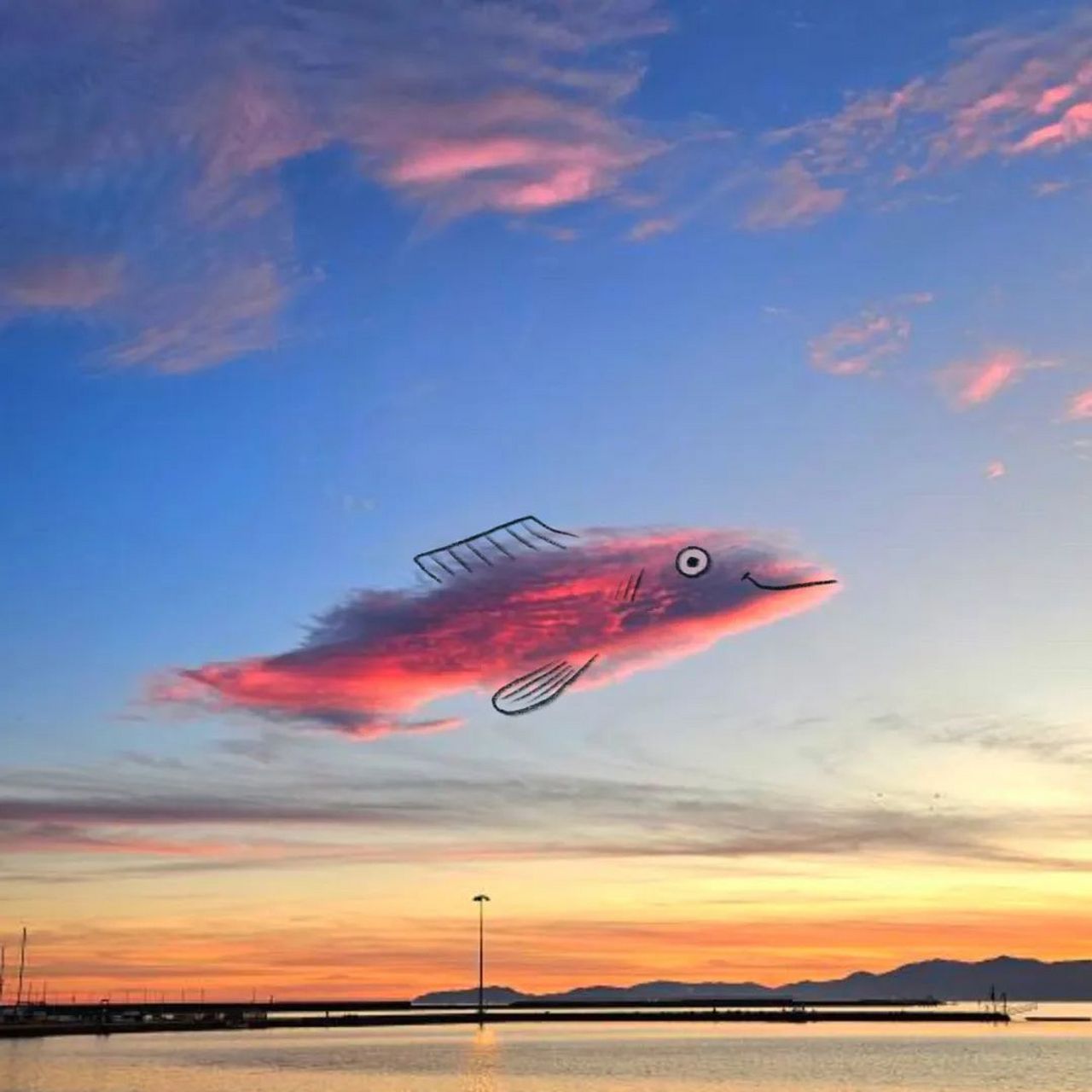 简单又有趣的云朵涂鸦,让人看了非常治愈,来自克里斯·贾奇四年如一日